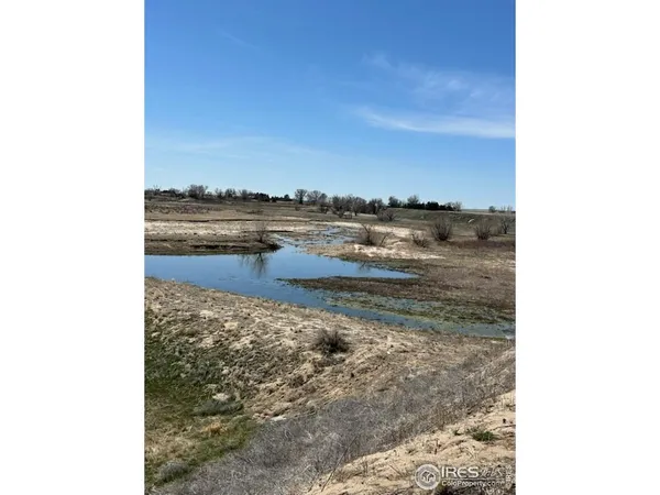 a view of a lake from a yard