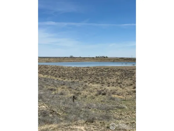 a view of a small yard