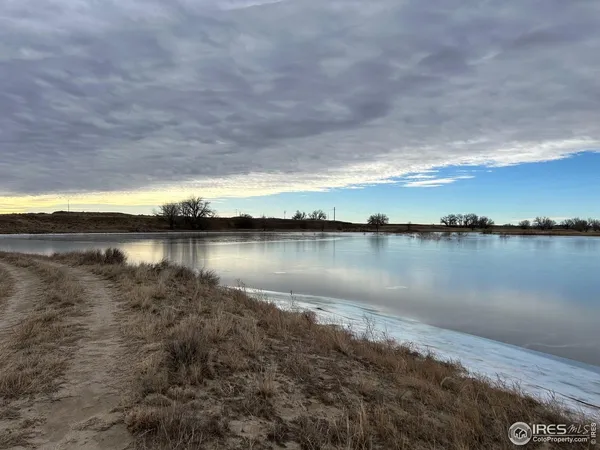a view of a dry yard with trees