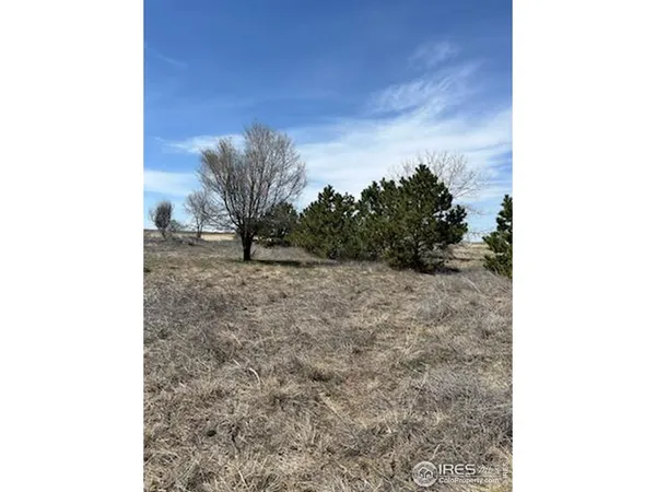 $590,000 | 20528 County Road 3, Wiggins, CO 80654