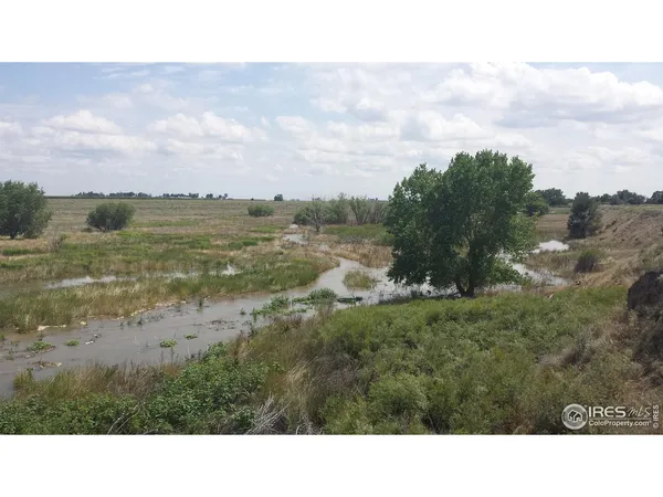 a black and white photo of a lake