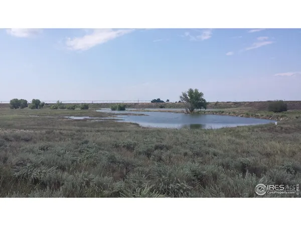a black and white photo of a field
