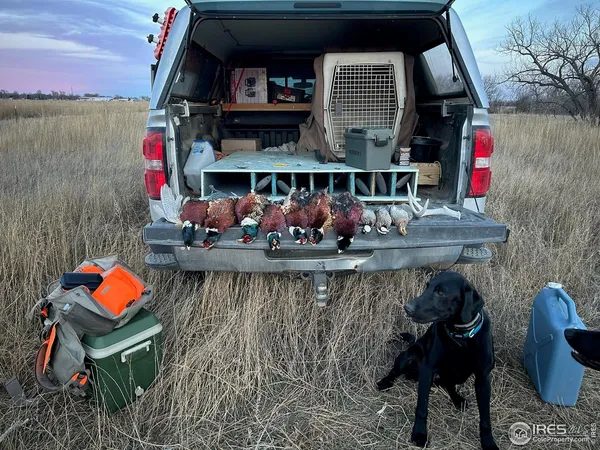 a front view of a house with outdoor seating