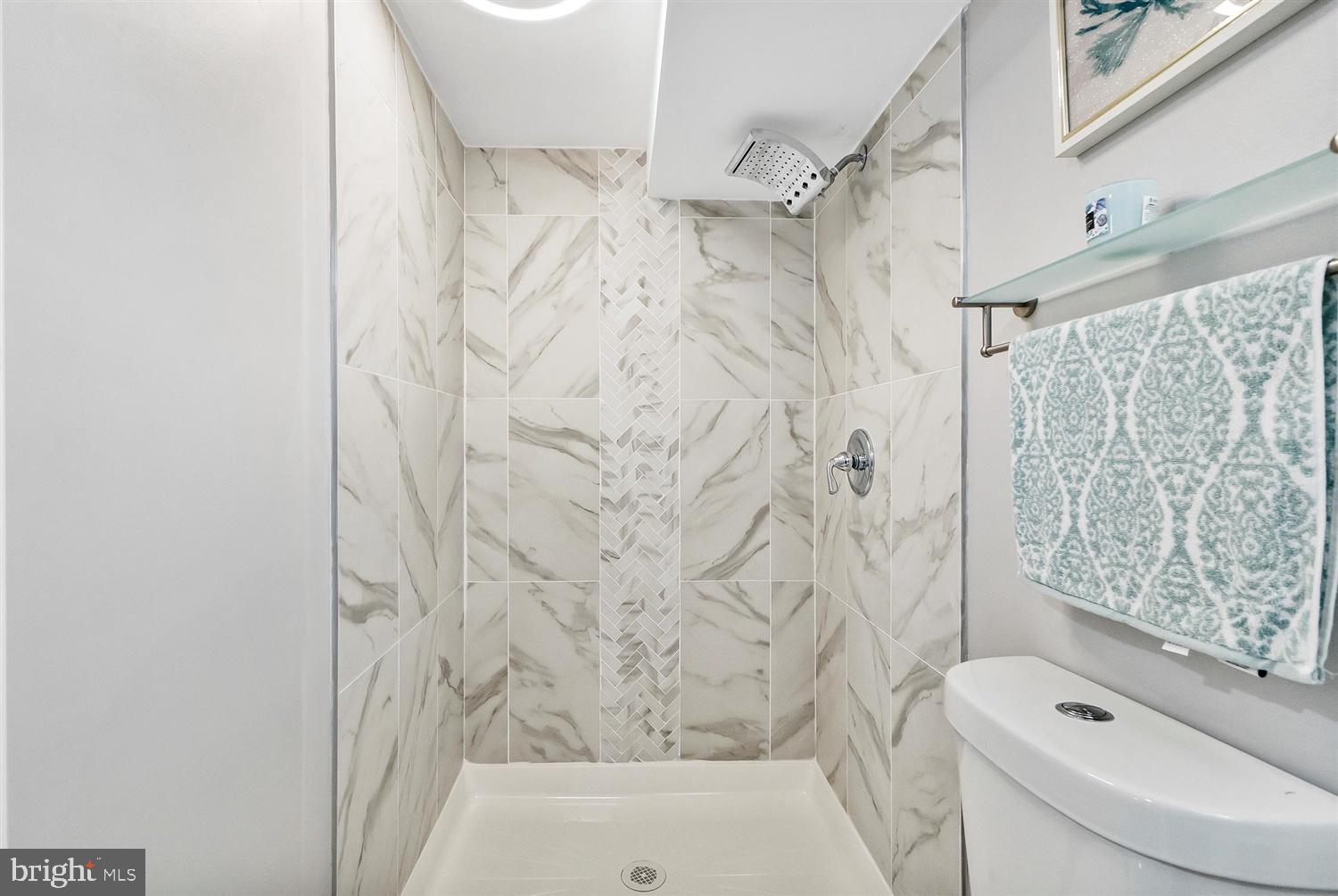 8164 North Boundary Road Baltimore, MD 21222 - Photo 23 of 31 Spa like shower head