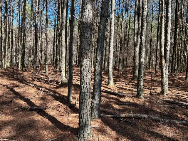 $96,000 | 4210 Raulston Fls Road, Unit JF118, Jasper, TN 37347