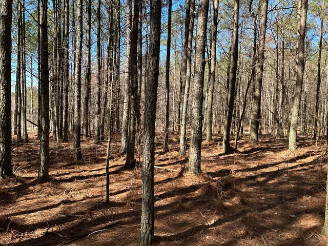 $96,000 | 4210 Raulston Fls Road, Unit JF118, Jasper, TN 37347