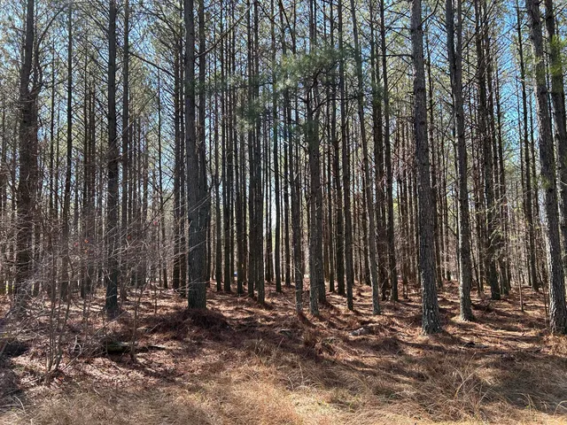 $96,000 | 4210 Raulston Fls Road, Unit JF118, Jasper, TN 37347