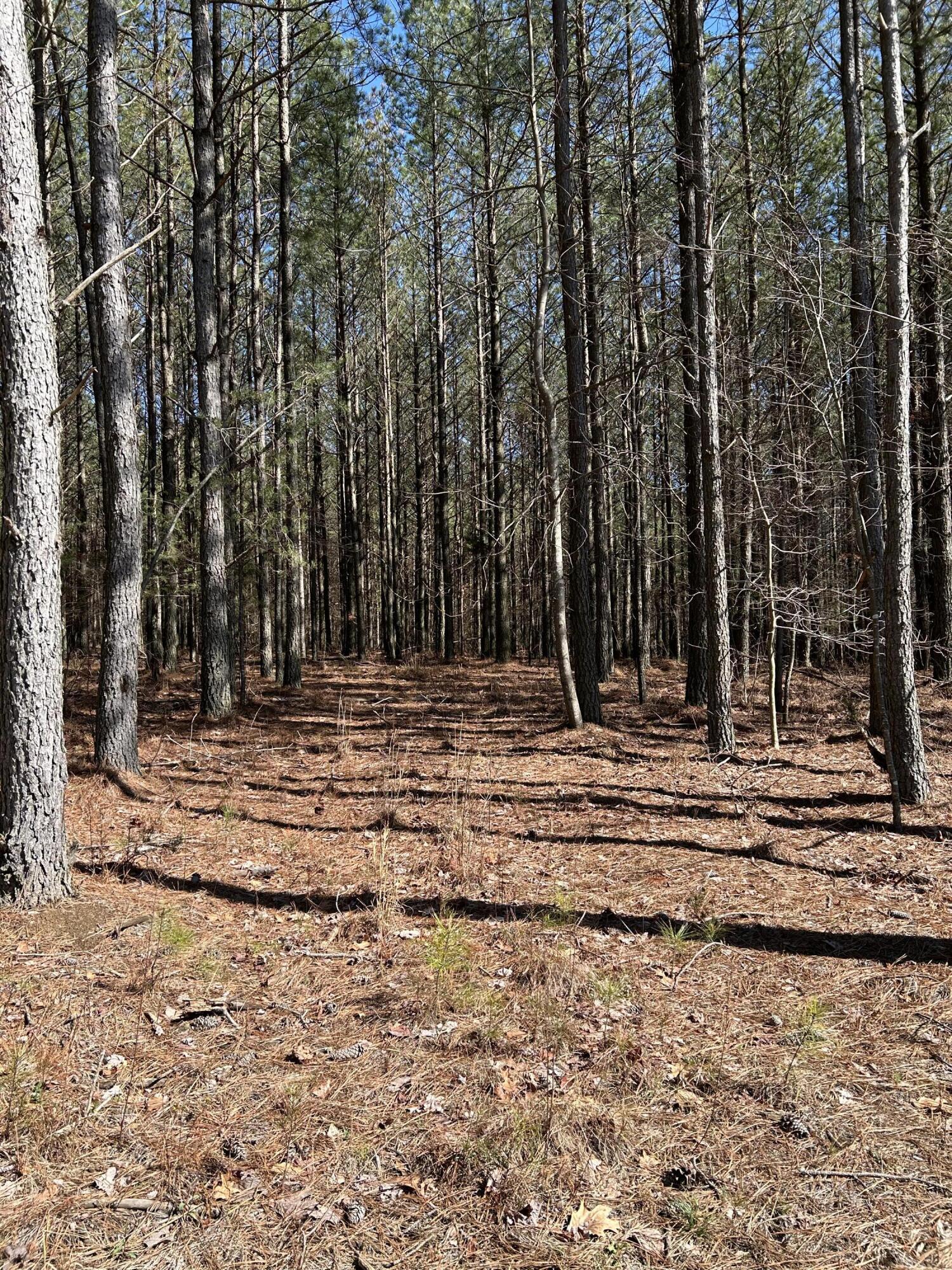 4210 Raulston Fls Road, Unit JF118 Jasper, TN 37347 - Photo 5 of 29 IMG_2013