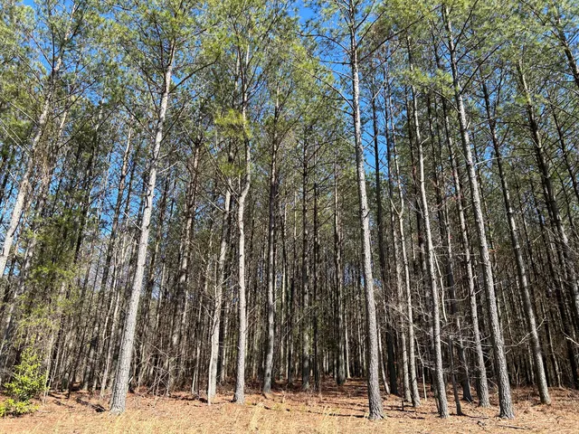 $96,000 | 4210 Raulston Fls Road, Unit JF118, Jasper, TN 37347