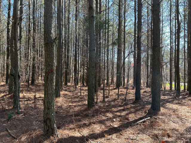 $96,000 | 4210 Raulston Fls Road, Unit JF118, Jasper, TN 37347