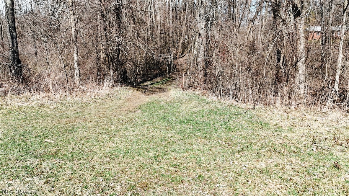 V/l Granger Road Medina, OH 44256 - Photo 10 of 14