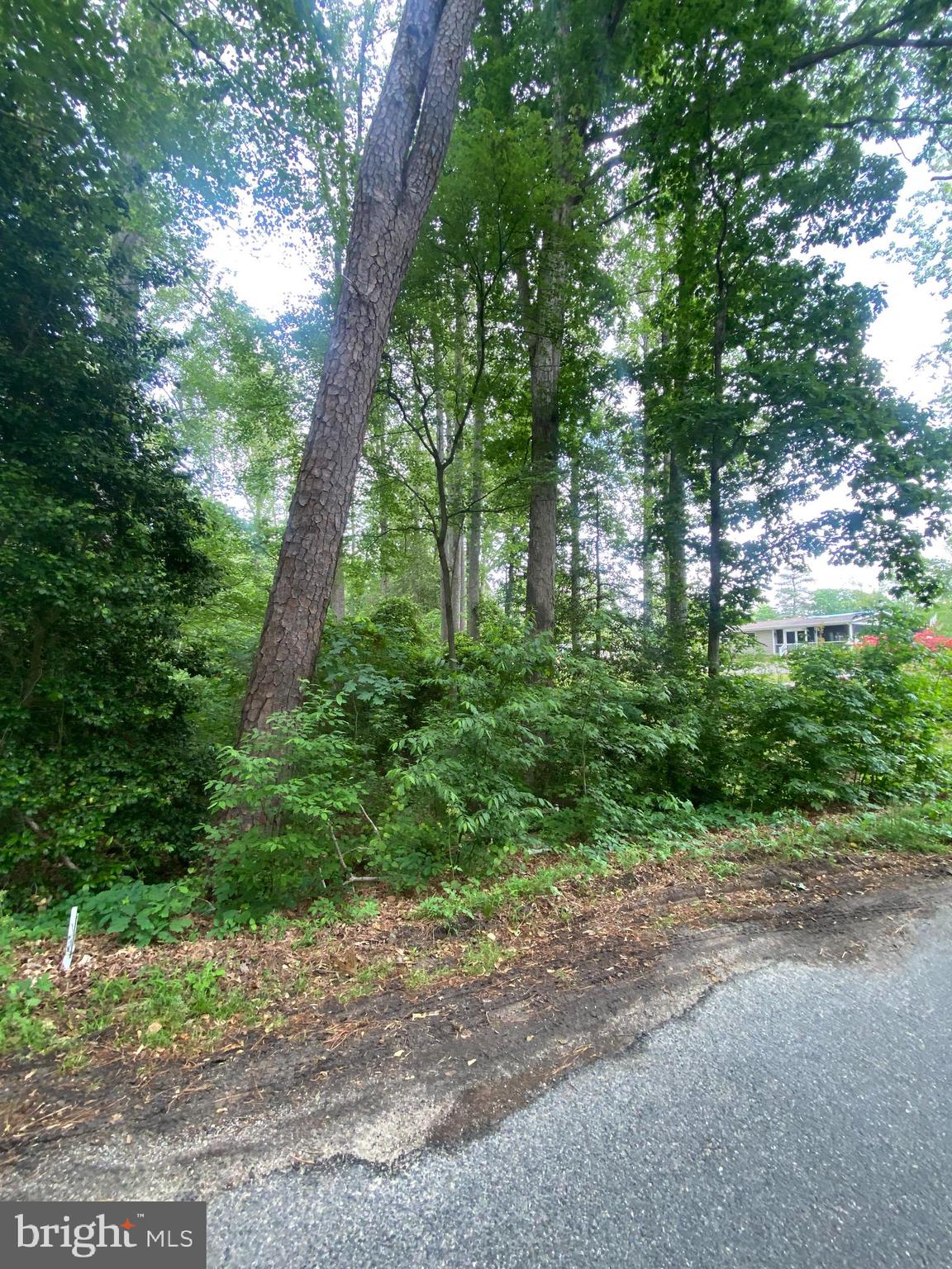 Dry Bridge Road Ruther Glen, VA 22546 - Photo 3 of 13 Gallery Image 3