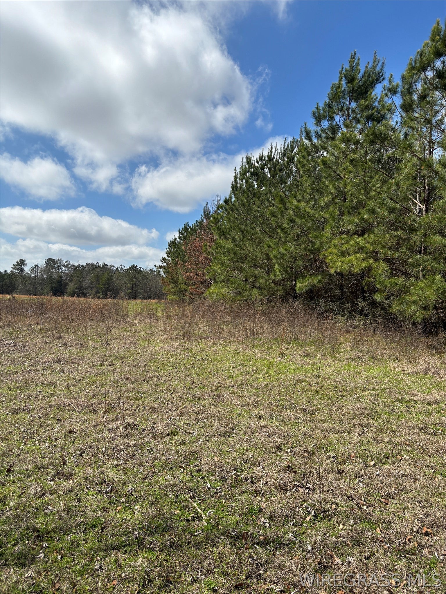 35729 Hesters Store Road Red Level, AL 36474 - Photo 5 of 6 Gallery Image 5