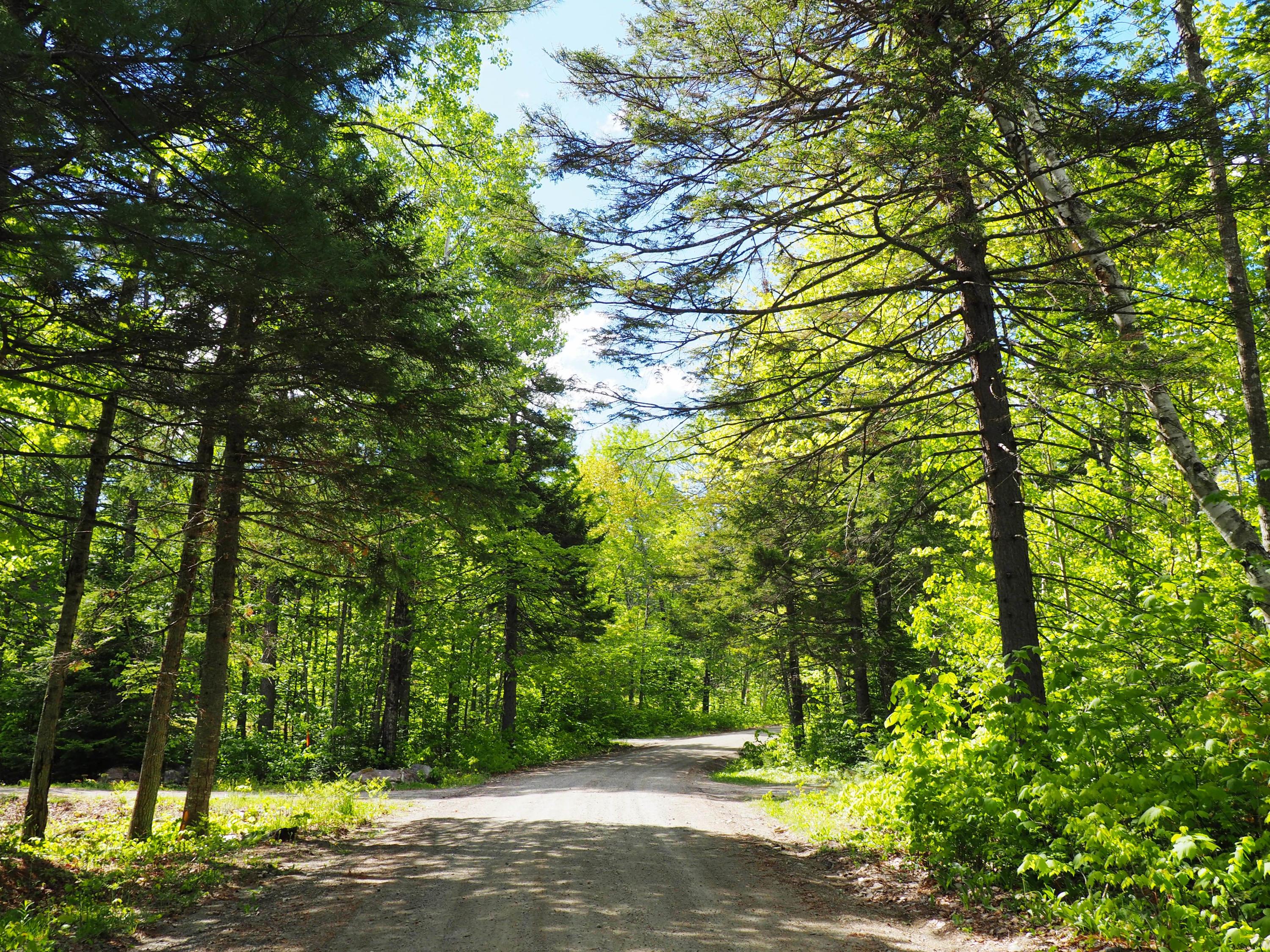 2011 Brook Falls Road Kingfield, ME 04947 - Photo 3 of 9 Lot on Right looking up road