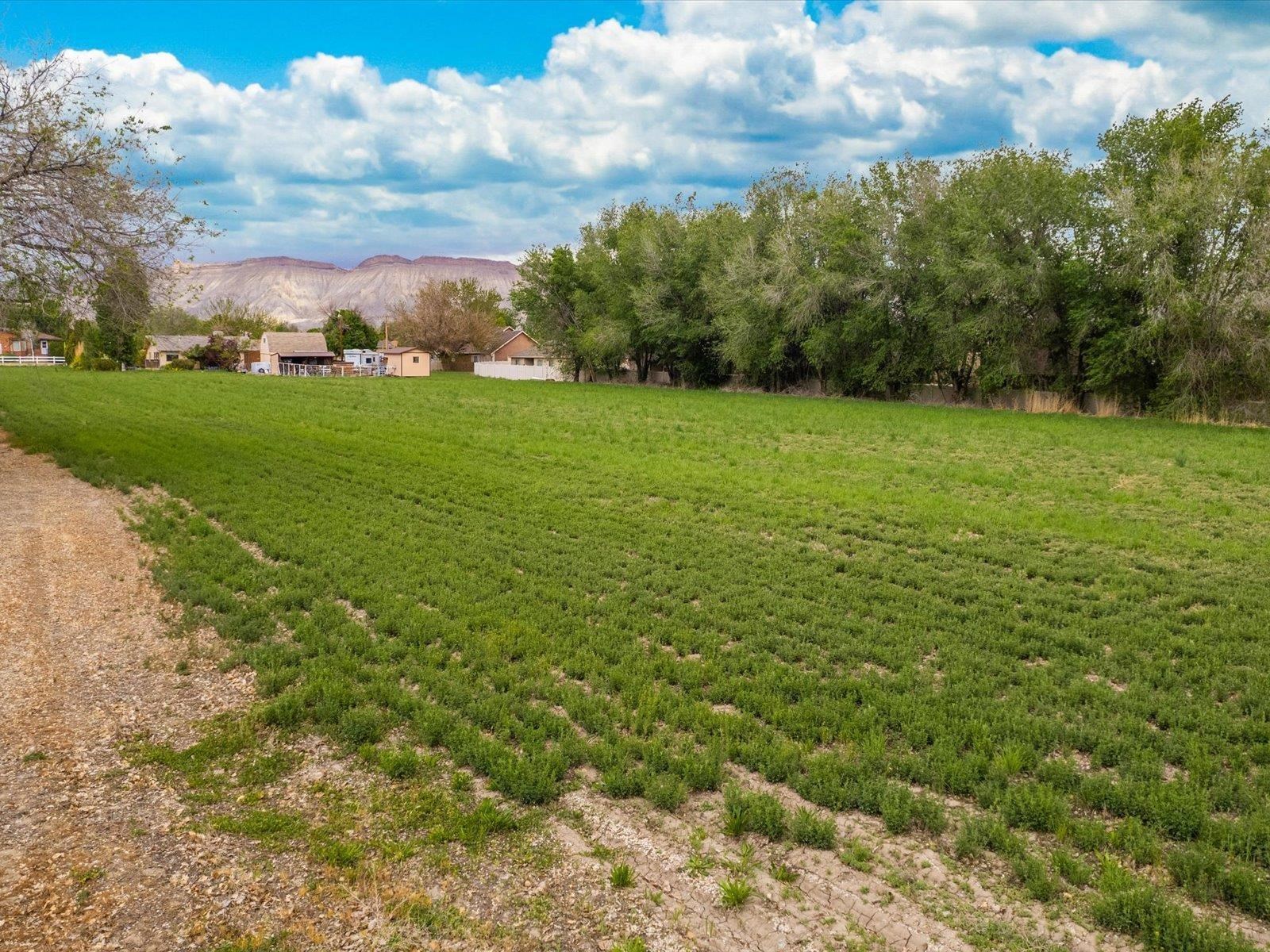 3085 F F 1/2 Road Grand Junction, CO 81504 - Photo 22 of 30 a view of yard with green space