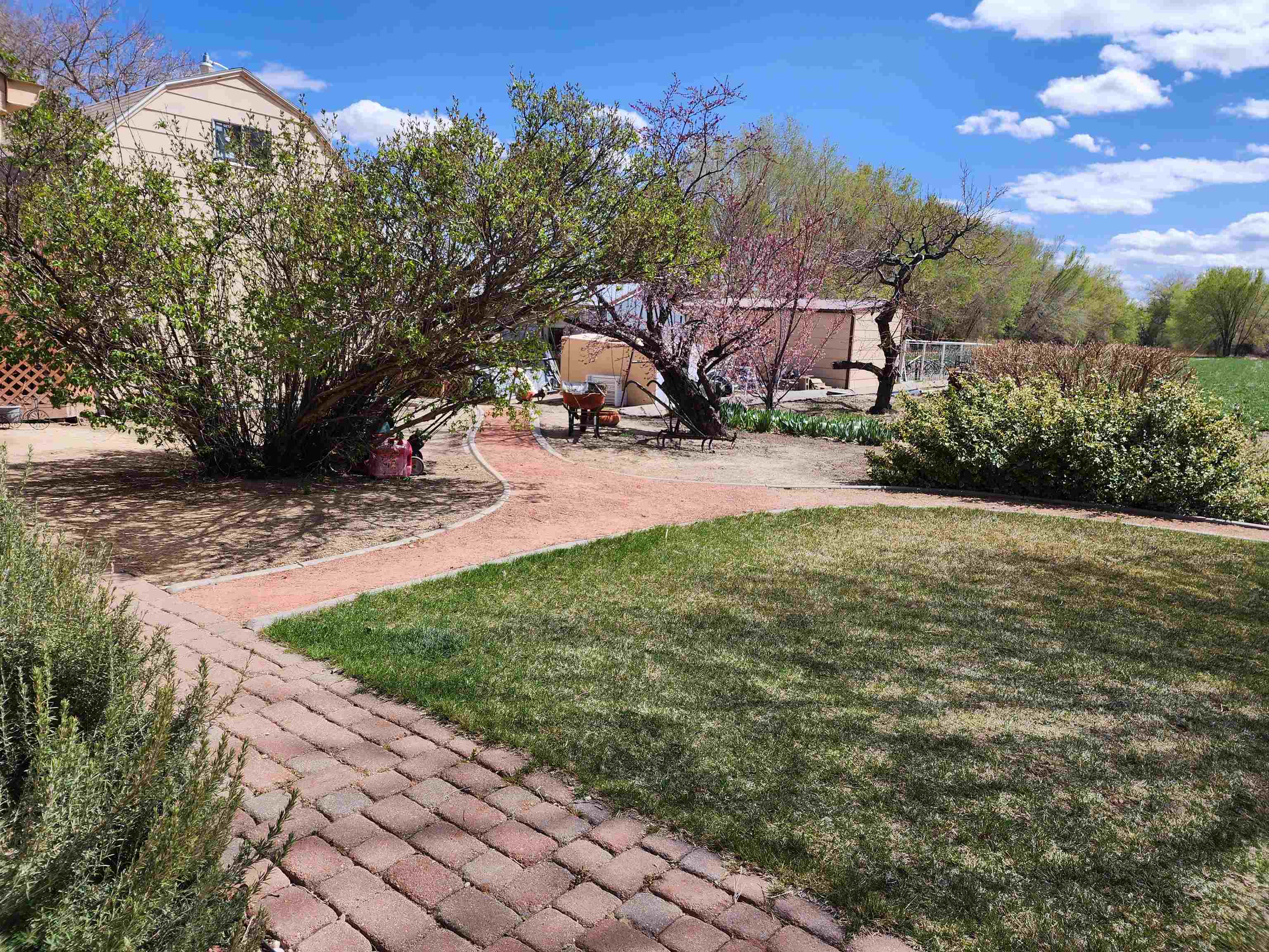 3085 F F 1/2 Road Grand Junction, CO 81504 - Photo 23 of 30 a view of a garden with a building in the background