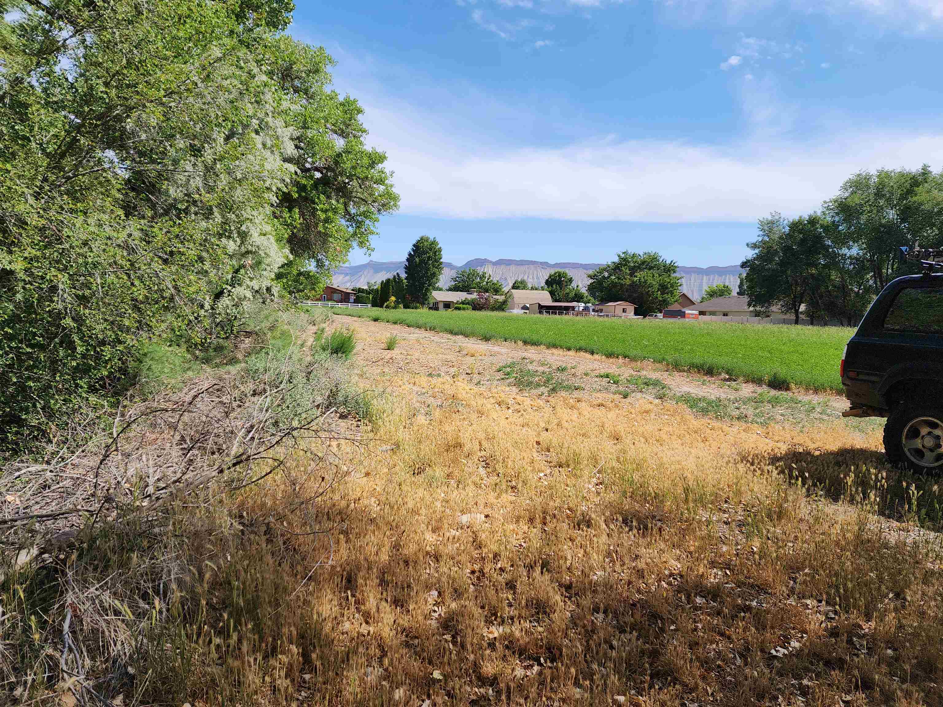 3085 F F 1/2 Road Grand Junction, CO 81504 - Photo 25 of 30 a view of an outdoor space and a yard