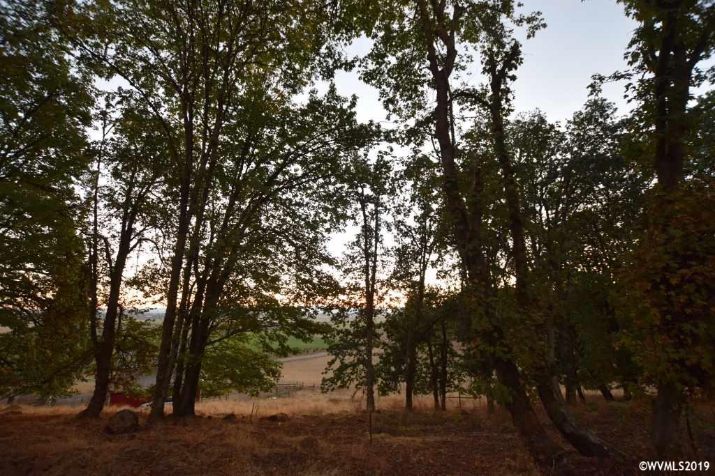 4544 Moonlight (parcel Lane Turner, OR 97392 - Photo 30 of 41 Gallery Image 30