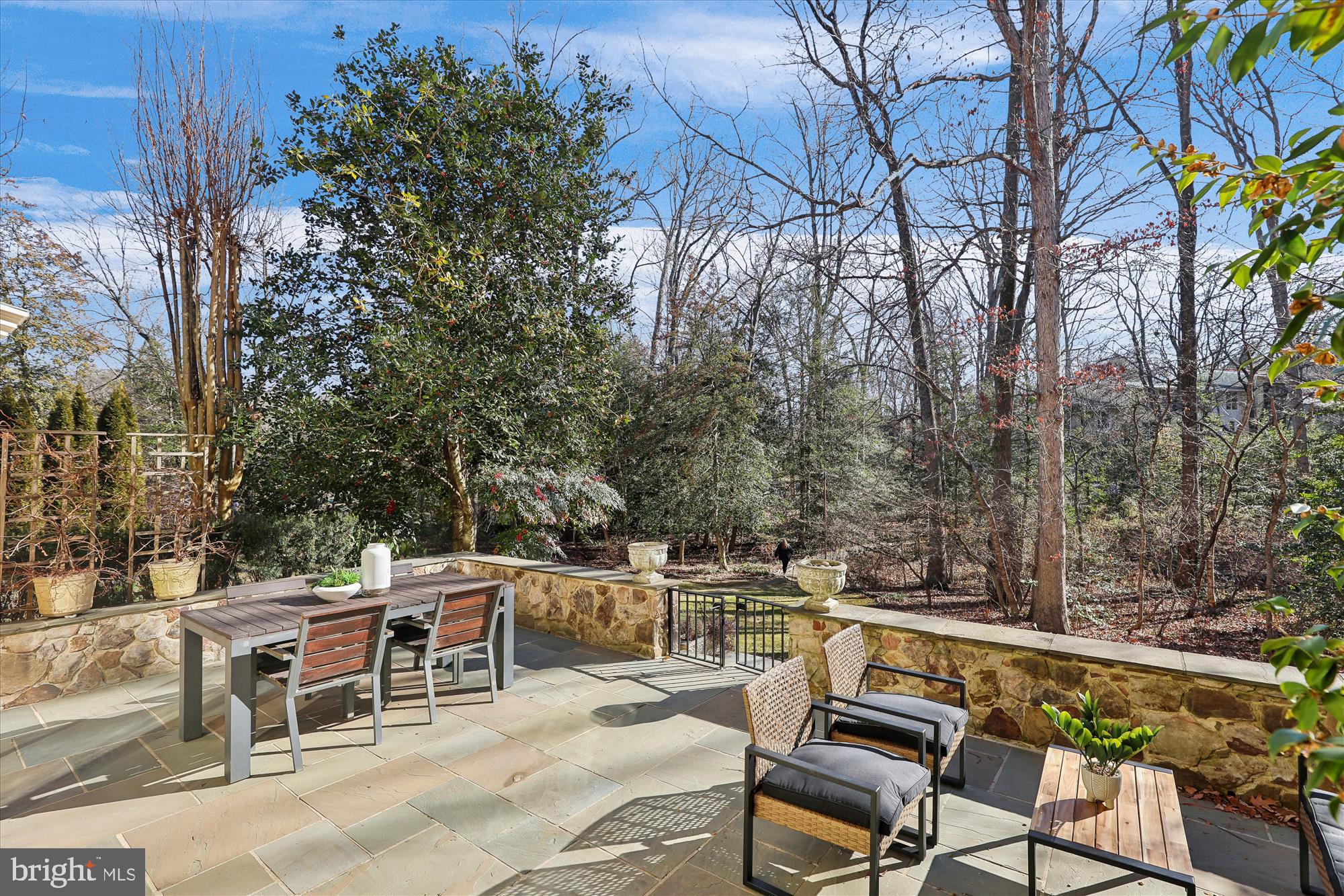 11487 Waterview Cluster Reston, VA 20190 - Photo 30 of 44 Patio