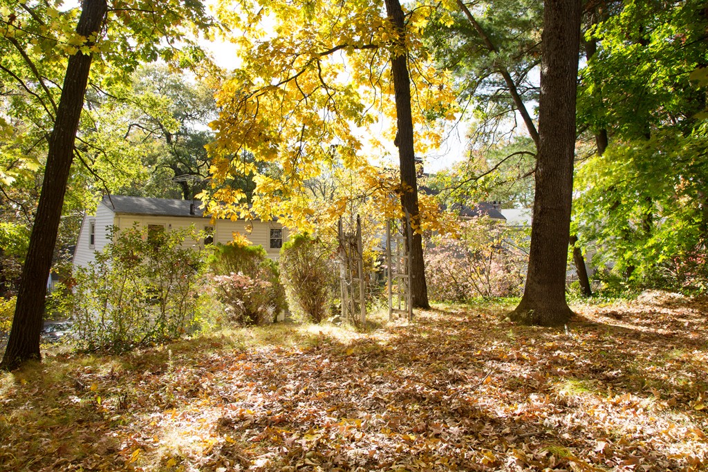 379 Marrett Road Lexington, MA 02421 - Photo 6 of 6 a view of outdoor space with trees