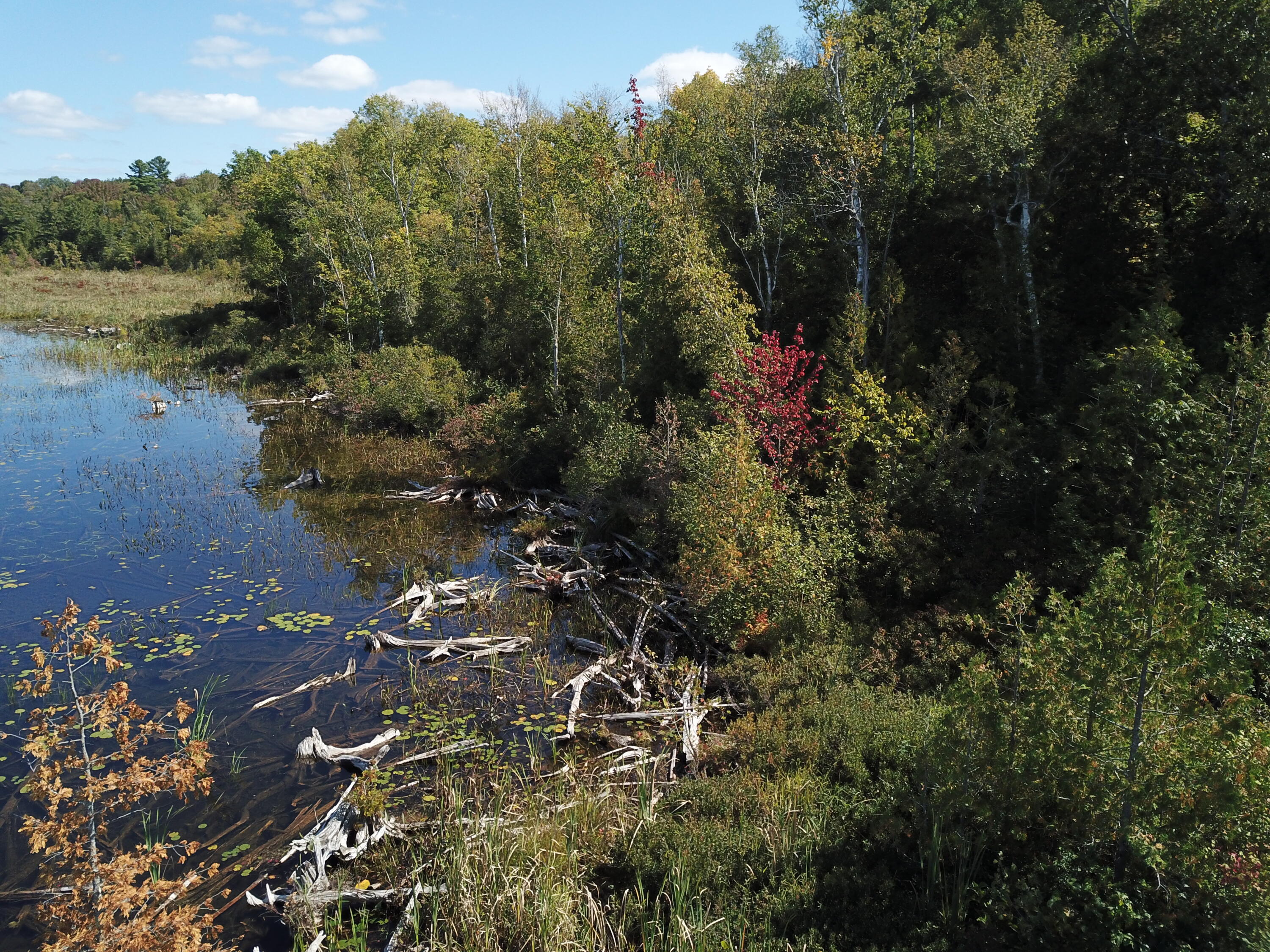 Tbd Dexter Road St. Albans, ME 04971 - Photo 2 of 8