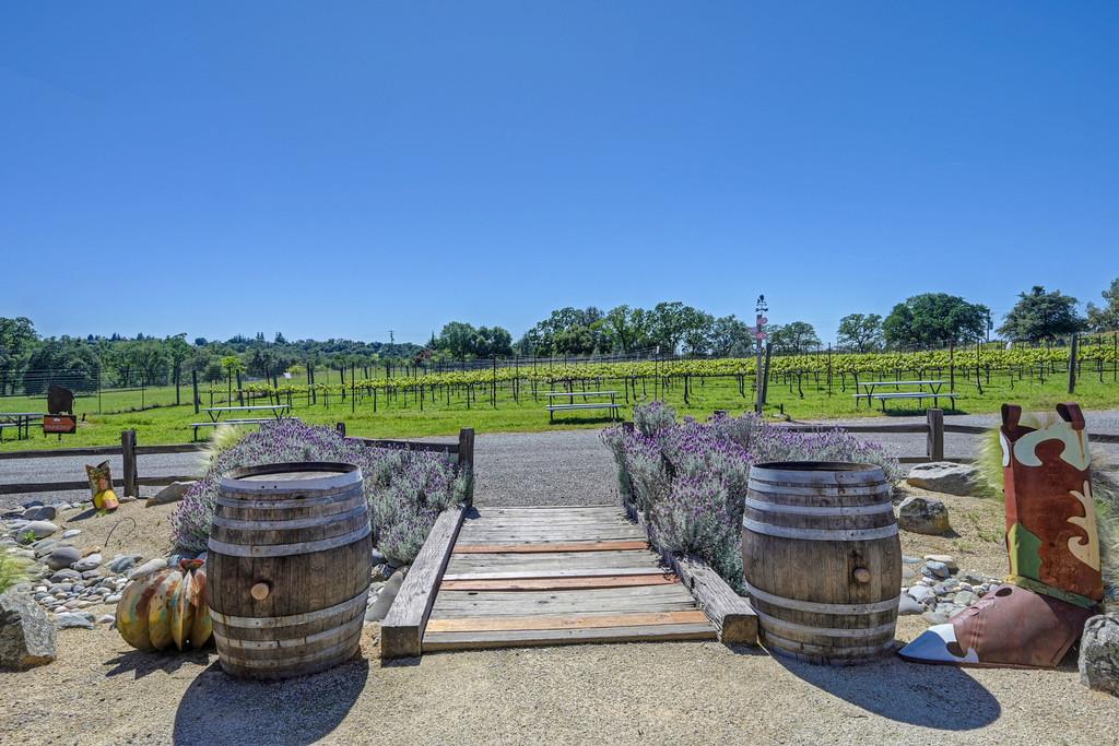 7505 Wise Road Auburn, CA 95603 - Photo 45 of 56