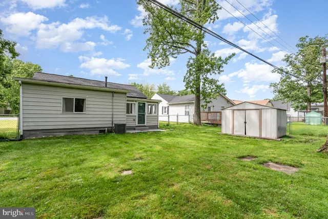 a backyard of a house with plants and large tree