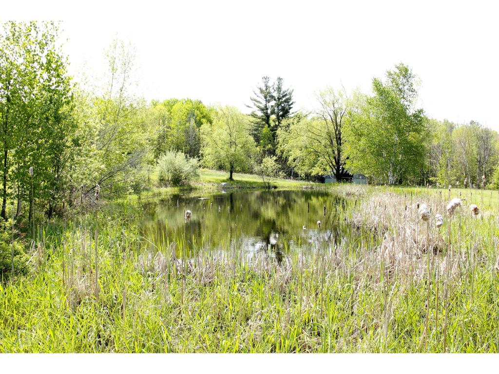 49 Staniels Road Chichester, NH 03258 - Photo 33 of 36