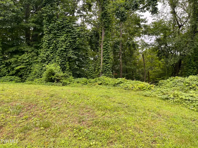 $12,000 | Undisclosed Address, Nickelsville, VA 24271