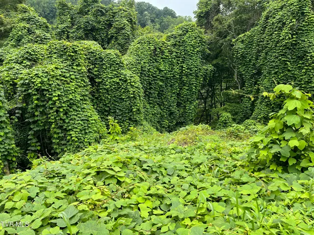 $12,000 | Undisclosed Address, Nickelsville, VA 24271