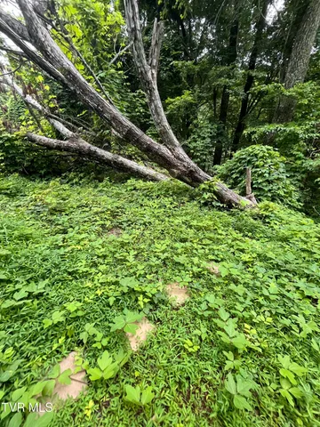 $12,000 | Undisclosed Address, Nickelsville, VA 24271