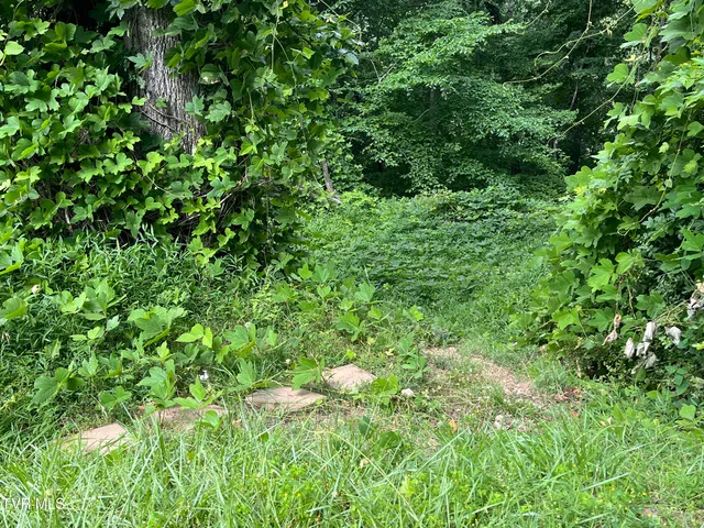 $12,000 | Undisclosed Address, Nickelsville, VA 24271