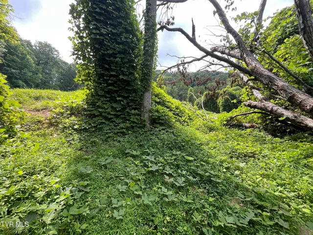 $12,000 | Undisclosed Address, Nickelsville, VA 24271