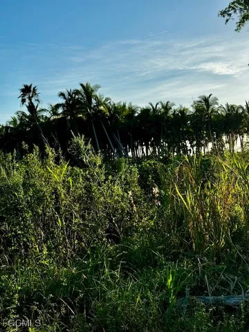 a picture of flowers