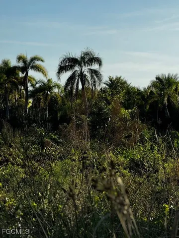 a view of outdoor space and yard