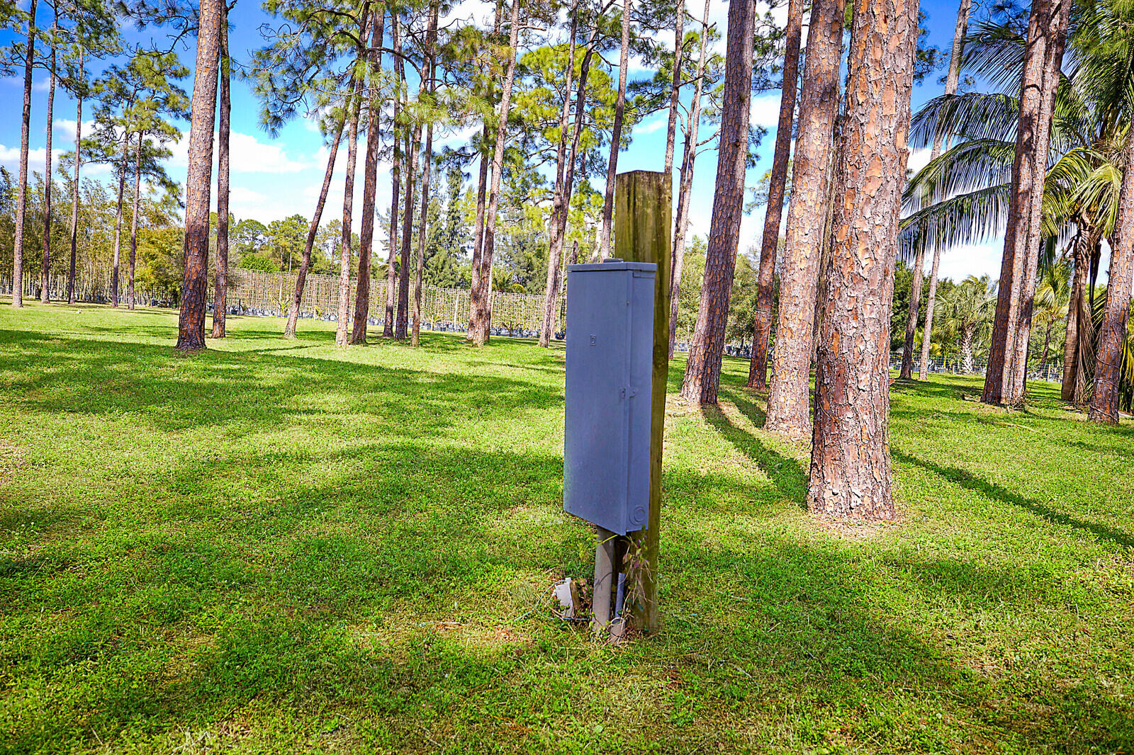 2150-2140 C Road Loxahatchee Groves, FL 33470 - Photo 8 of 14 a backyard of a house with lots of green space