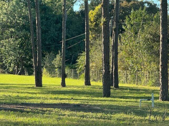 2150-2140 C Road Loxahatchee Groves, FL 33470 - Photo 9 of 14 a view of a big yard with potted plants and large trees