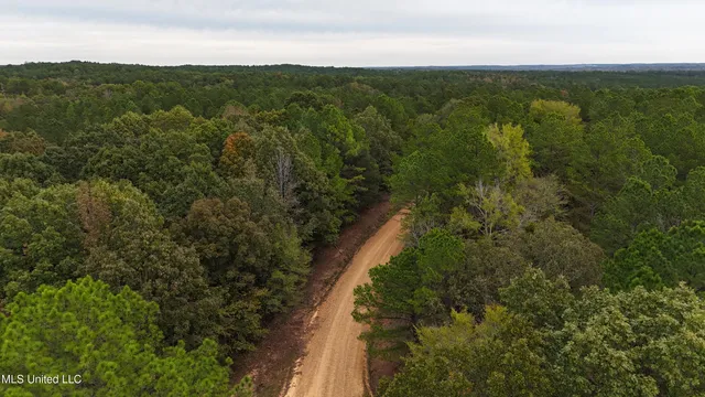 $43,000 | Callicut Rd Road, Waterford, MS 38685