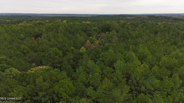 $43,000 | Callicut Rd Road, Waterford, MS 38685