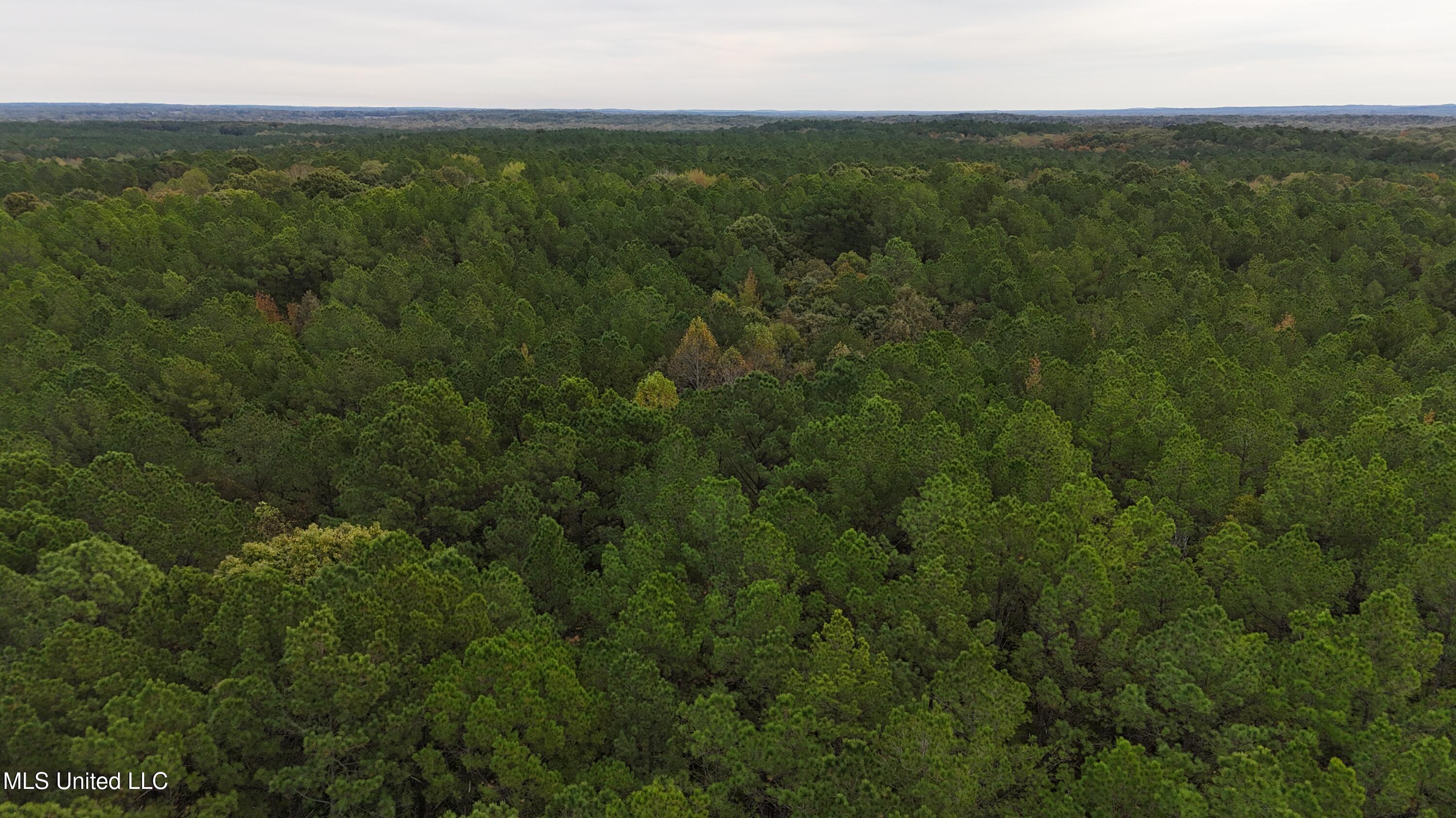 Callicut Rd Road Waterford, MS 38685 - Photo 11 of 15 Photo Oct 24 2025, 3 22 29 PM