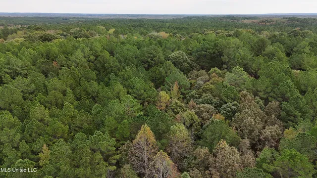 $43,000 | Callicut Rd Road, Waterford, MS 38685