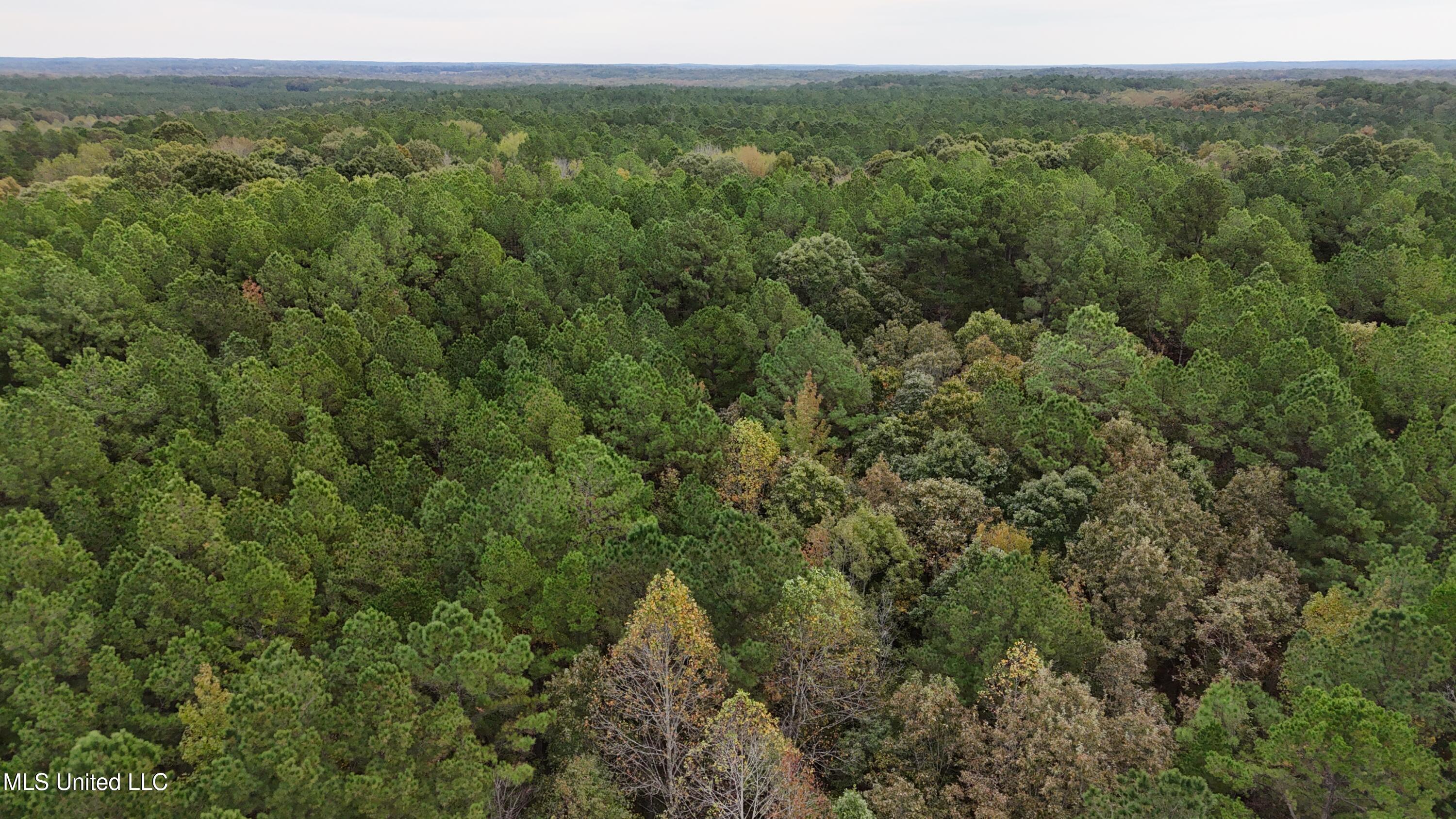 Callicut Rd Road Waterford, MS 38685 - Photo 12 of 15 Photo Oct 24 2025, 3 22 39 PM