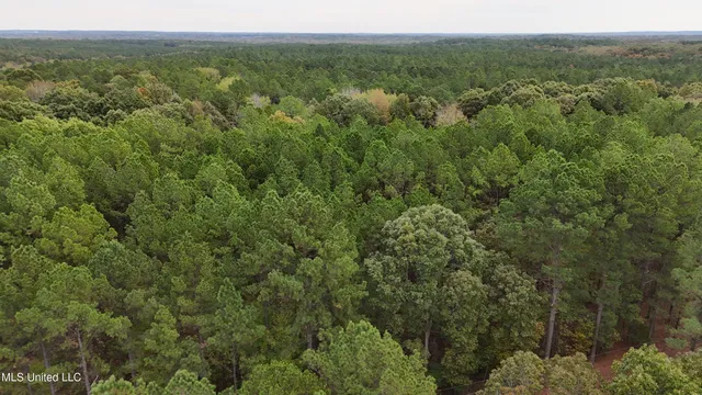 $43,000 | Callicut Rd Road, Waterford, MS 38685