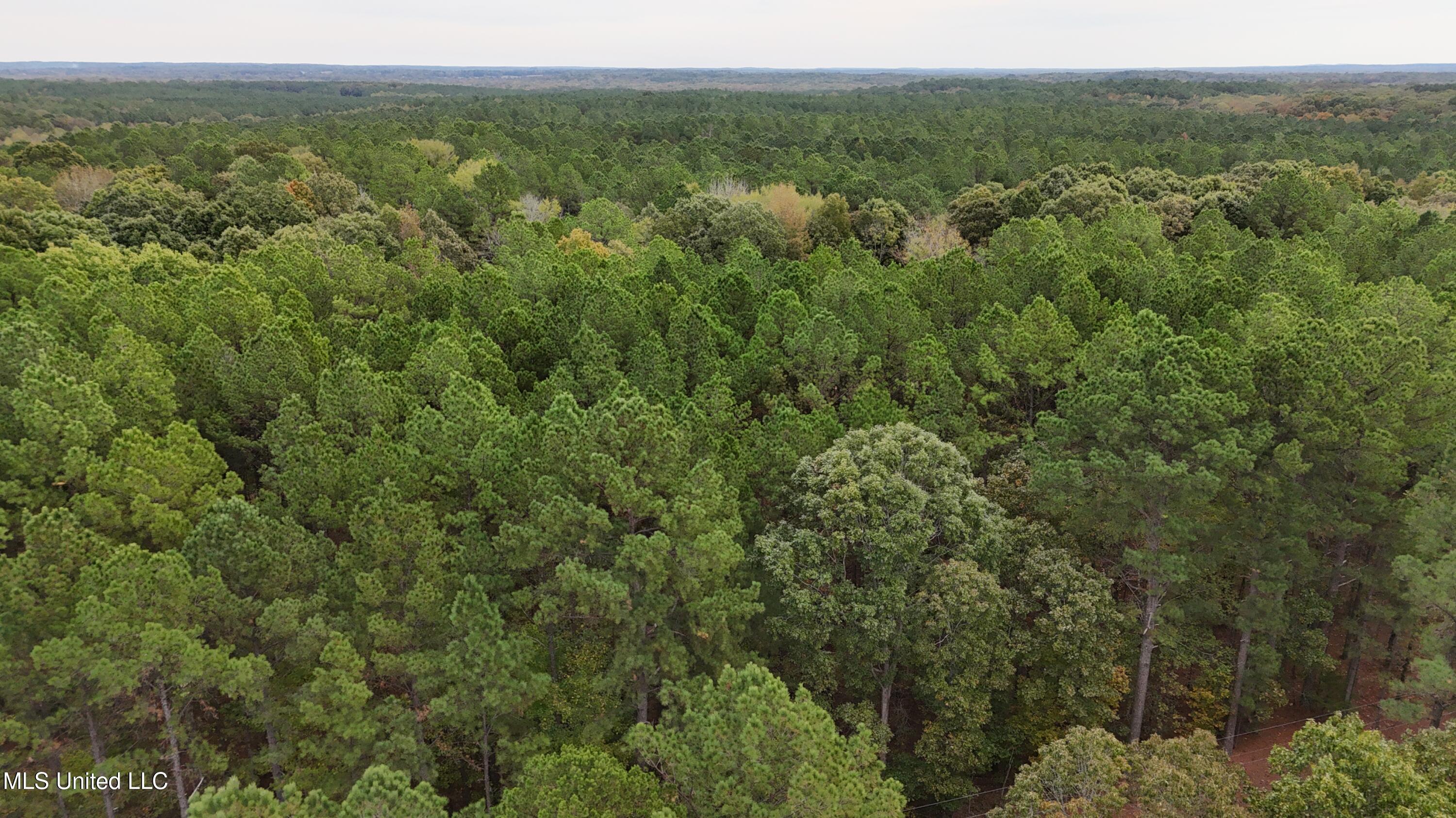 Callicut Rd Road Waterford, MS 38685 - Photo 13 of 15 Photo Oct 24 2025, 3 22 45 PM