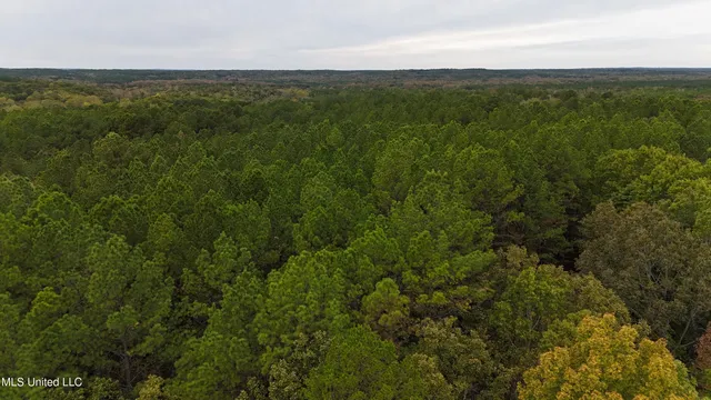 $43,000 | Callicut Rd Road, Waterford, MS 38685