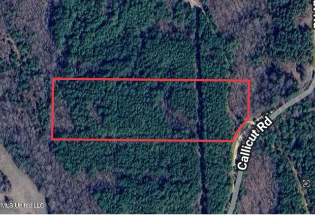 $43,000 | Callicut Rd Road, Waterford, MS 38685