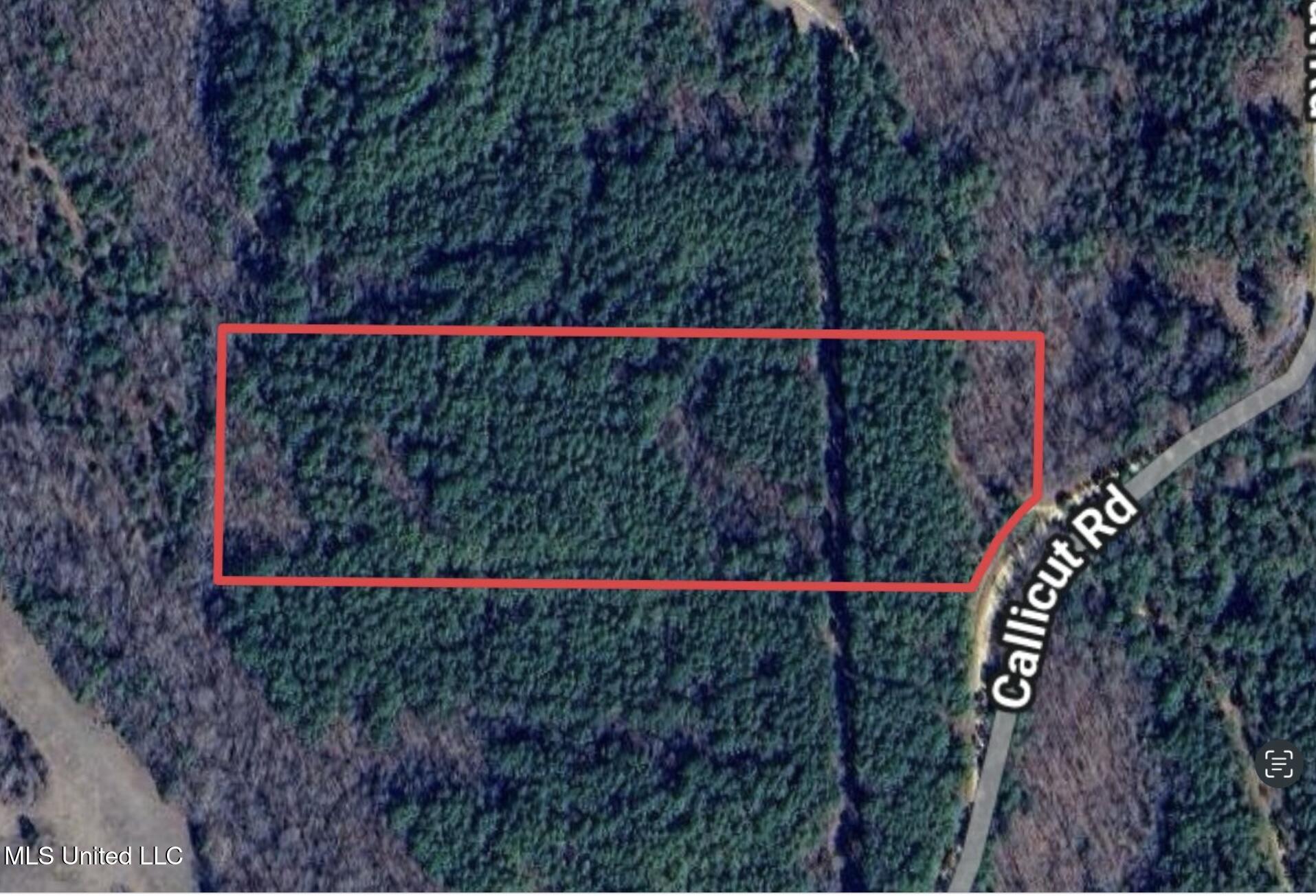 Callicut Rd Road Waterford, MS 38685 - Photo 15 of 15 IMG_0028