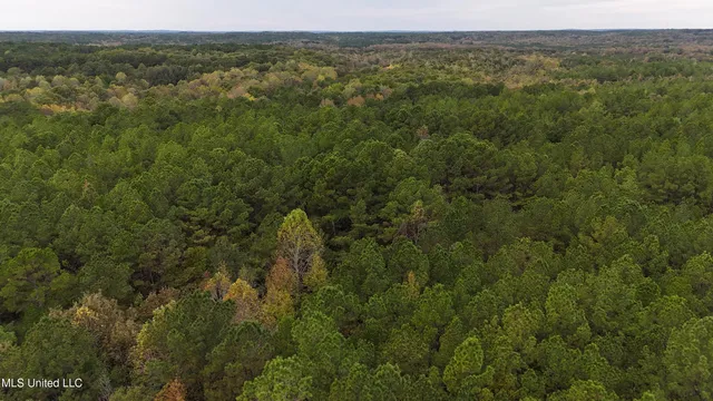 $43,000 | Callicut Rd Road, Waterford, MS 38685
