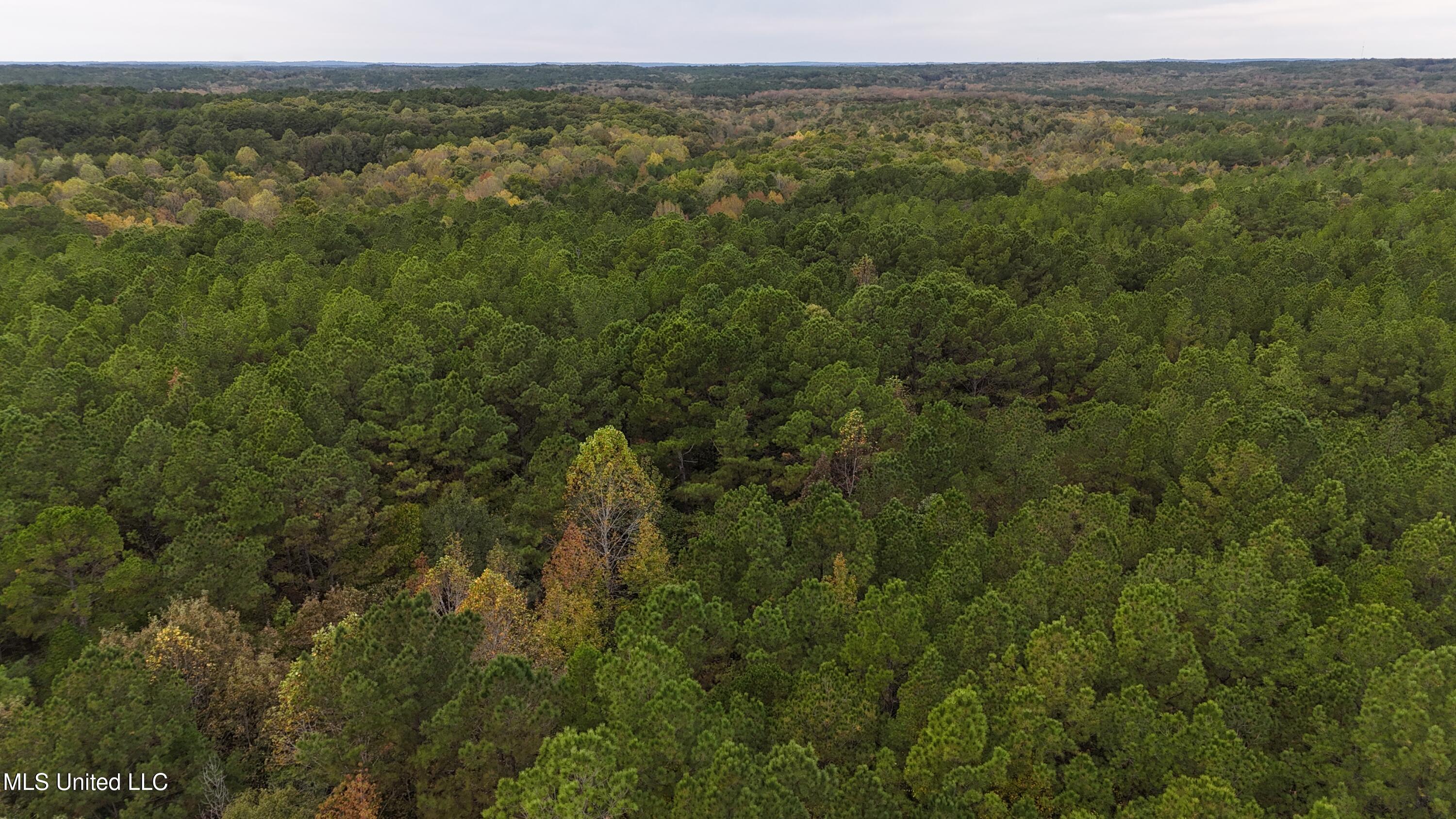 Callicut Rd Road Waterford, MS 38685 - Photo 2 of 15 Photo Oct 24 2025, 3 20 24 PM