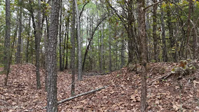 $43,000 | Callicut Rd Road, Waterford, MS 38685